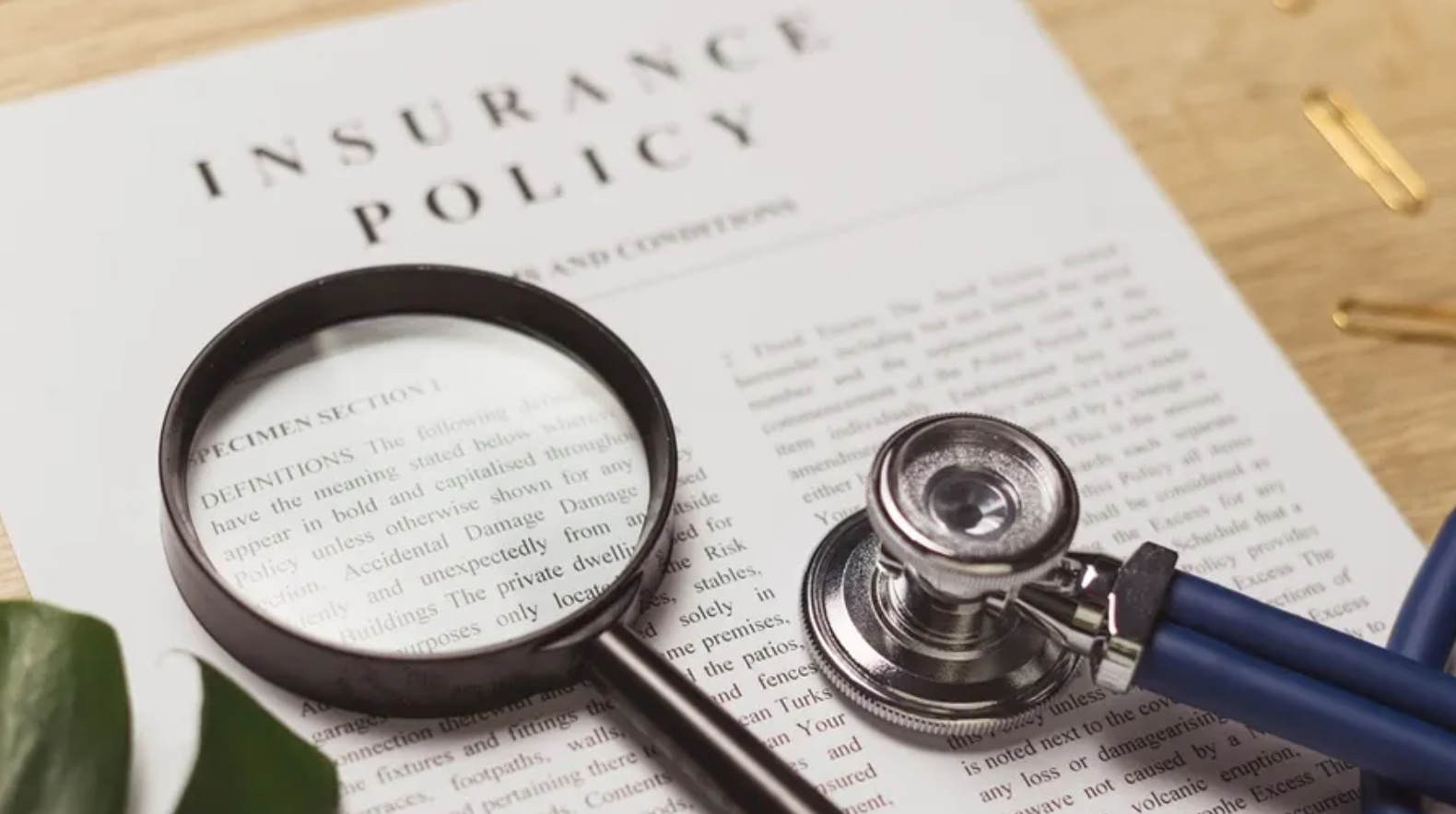 8 Types of insurance policies and coverage you need in 2024